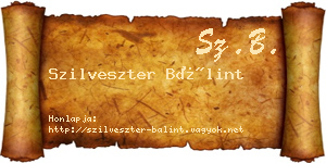Szilveszter Bálint névjegykártya